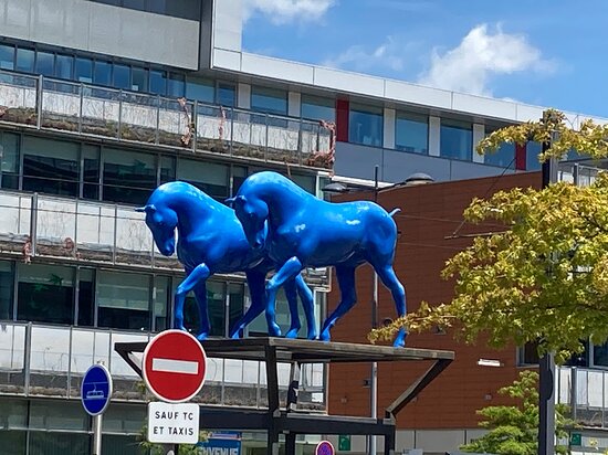 taxi st etienne chateaucreux